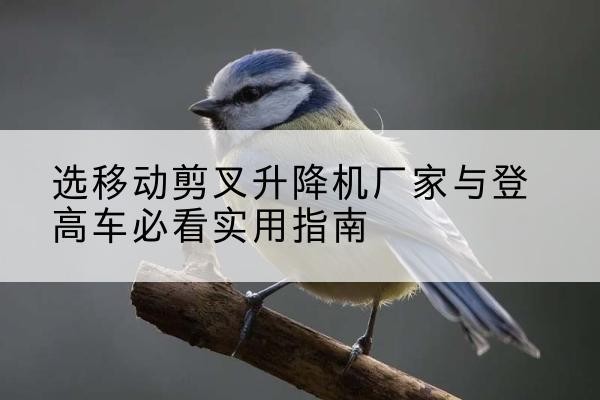 富裕电动升降机厂家-选移动剪叉升降机厂家与登高车必看实用指南