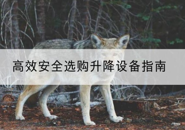 富裕升降货梯厂家推荐-*安全选购升降设备指南
